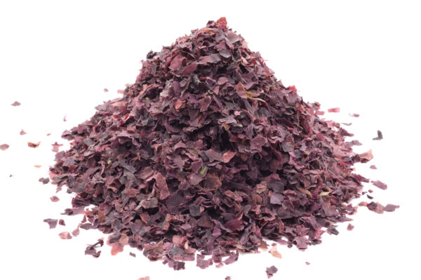 Alga Dulse Biologica in Fiocchi